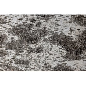 Väggpanel Emotionwood Björk 600