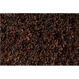 Väggpanel Emotionwood Tallkottar