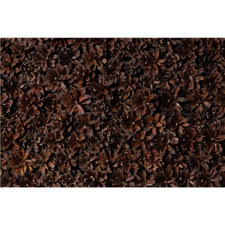 Väggpanel Emotionwood Tallkottar