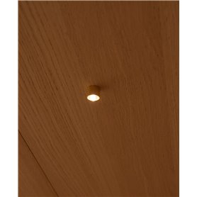 Lins för bastuaggregat Cariitti CR-09 M5