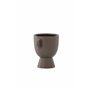 Cent Kruka