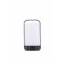 Bordslampa Fern, Vit