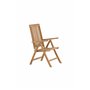 Positionsstol Kenya, Natur