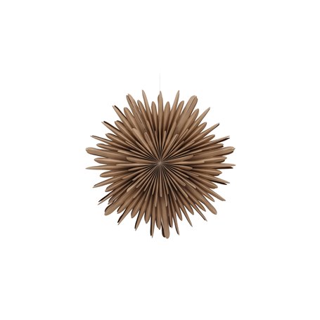 Lampa Sälen, Brown