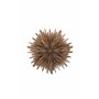 Lampa Sälen, Brown