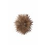 Lampa Sälen, Brown