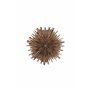 Lampa Sälen, Brown
