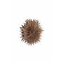 Lampa Sälen, Brown