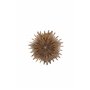 Lampa Sälen, Brown