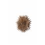Lampa Sälen, Brown