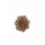 Lampa Sälen, Brown