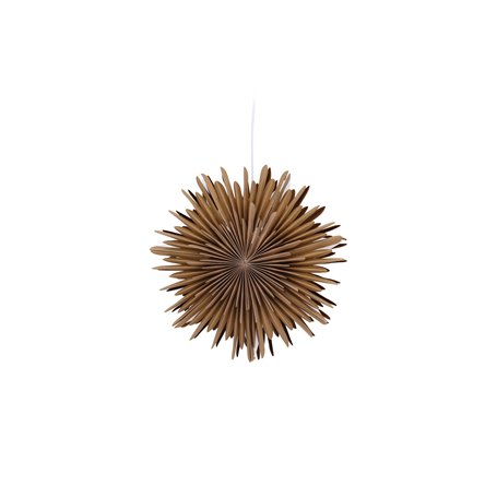 Lampa Sälen, Brown