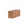 Trento Dynbox