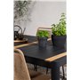 Matgrupp Togo med Lindos matstolar, 150 × 90 cm