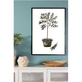 Olive Poster