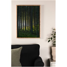 Woods Poster