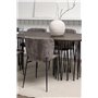 Matgrupp Stone med Modesto matstolar, 220 × 100 cm