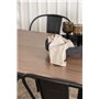 Matgrupp Tempe med Tempe matstolar, 140 × 80 cm