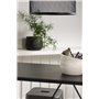 Matgrupp Brea med Tempe matstolar, 120 × 60 cm