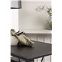Matgrupp Brea med Tempe matstolar, 120 × 60 cm