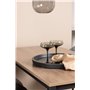 Matgrupp Camden med Velvet matstolar, 120 × 60 cm