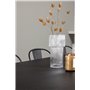 Matgrupp Bootcut med Tempe matstolar, 230 × 115 cm