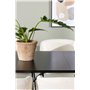 Matgrupp Astrid med Day matstolar, 200 × 90 cm