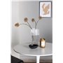 Matgrupp Hamden med Today matstolar