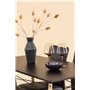 Matgrupp Danburi med Lily matstolar, 120 × 60 cm