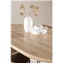 Matgrupp Bootcut med Evelina matstolar, 230 × 115 cm