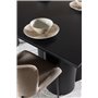 Matgrupp Olivia med Modesto matstolar, 210 × 100 cm