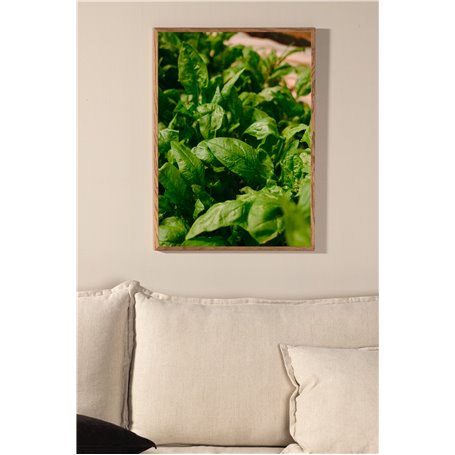 Gree leaf Poster
