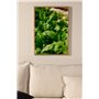 Gree leaf Poster