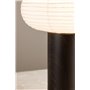 Bordslampa Hovfjället, Natur