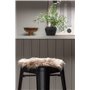 Stolsdyna Katy, Brun