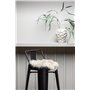 Stolsdyna Katy, Beige