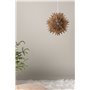 Lampa Sälen, Brown