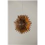 Lampa Sälen, Brown