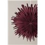 Lampa Sälen, Dark Red