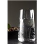 Shine Glas