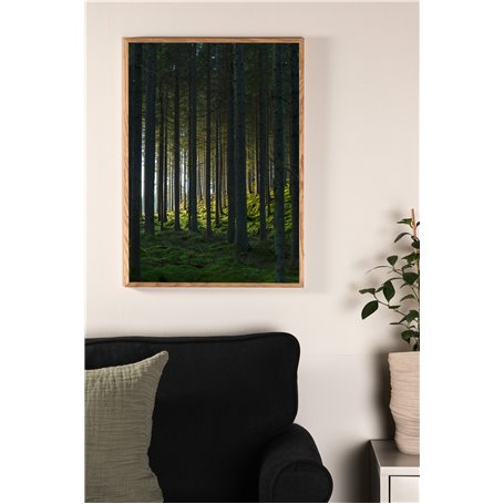 Woods Poster