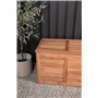 Trento Dynbox