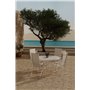 Matgrupp Giardini med Levanzo matstolar