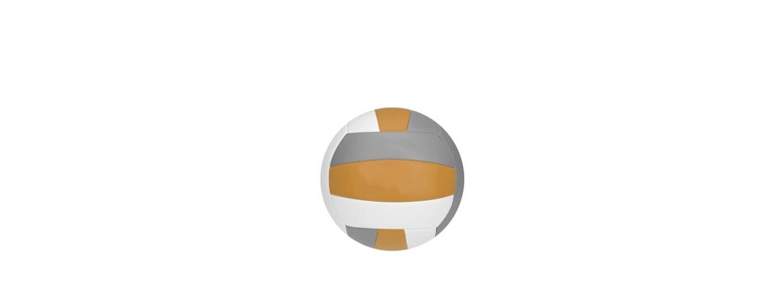 Volleyboll